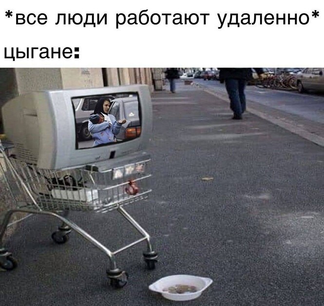 Смешные и познавательные картинки