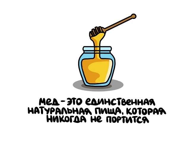 Интересные факты на все случаи жизни