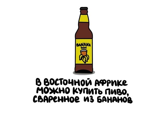 Интересные факты на все случаи жизни