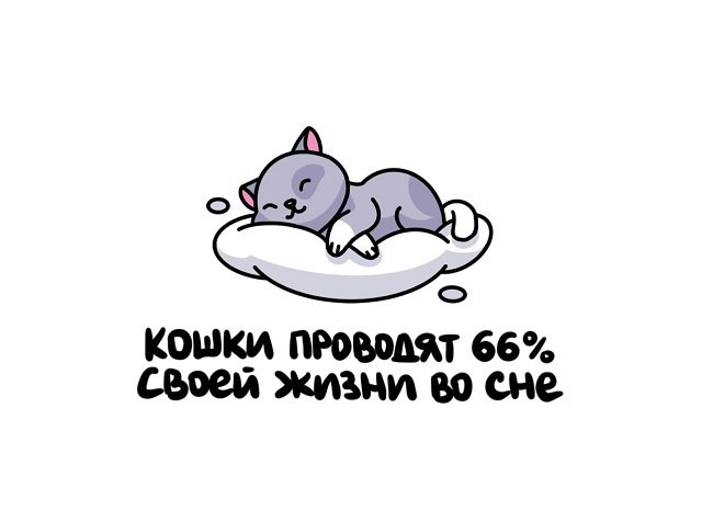 Интересные факты на все случаи жизни