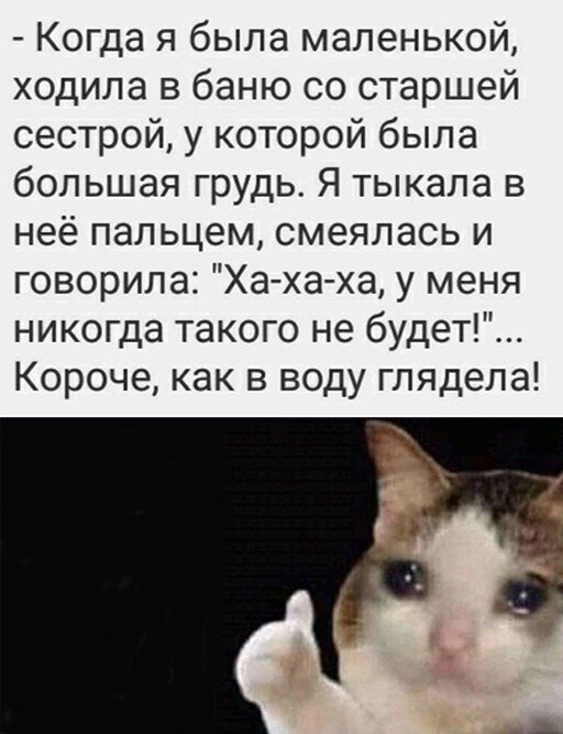 Баянисто-небаянистый юмор