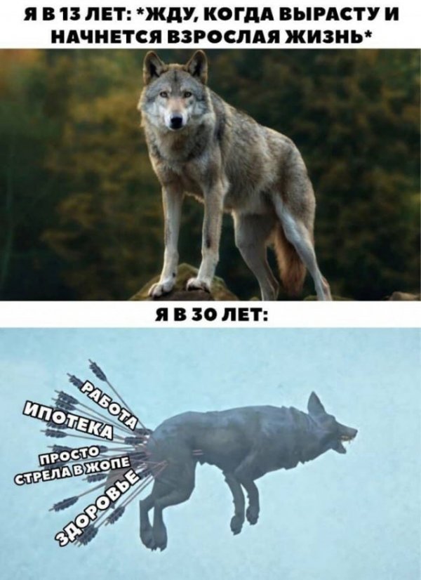 Баянисто-небаянистый юмор