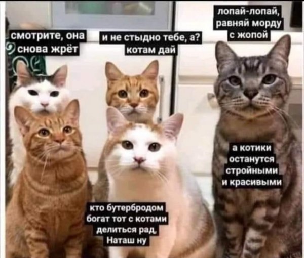 Баянисто-небаянистый юмор