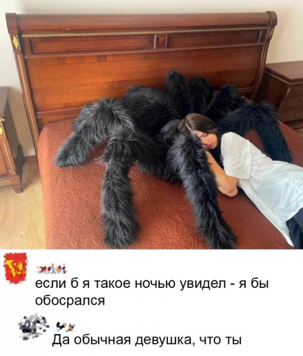 Баянисто-небаянистый юмор