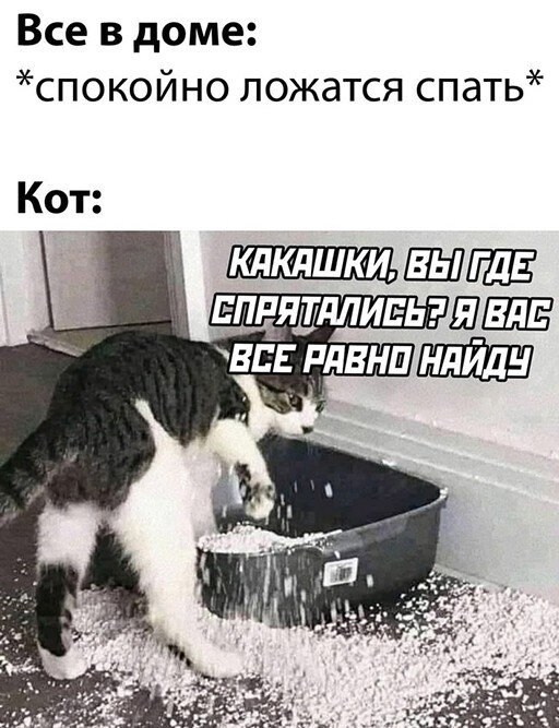 Баянисто-небаянистый юмор