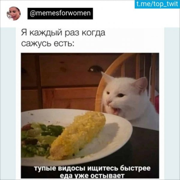 Баянисто-небаянистый юмор