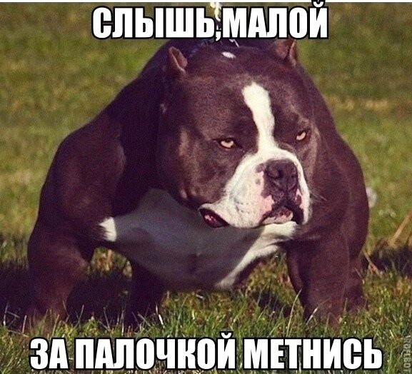 Так себе картинки