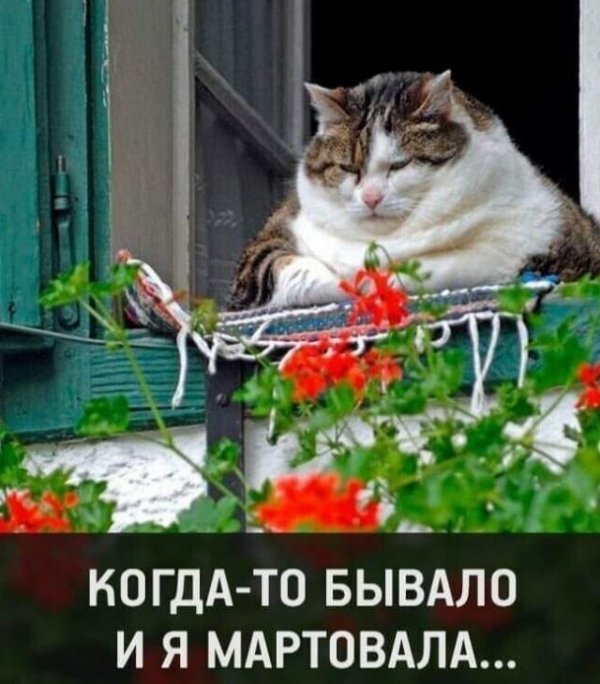 Так себе картинки