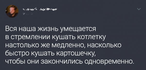 Подборка философских твитов