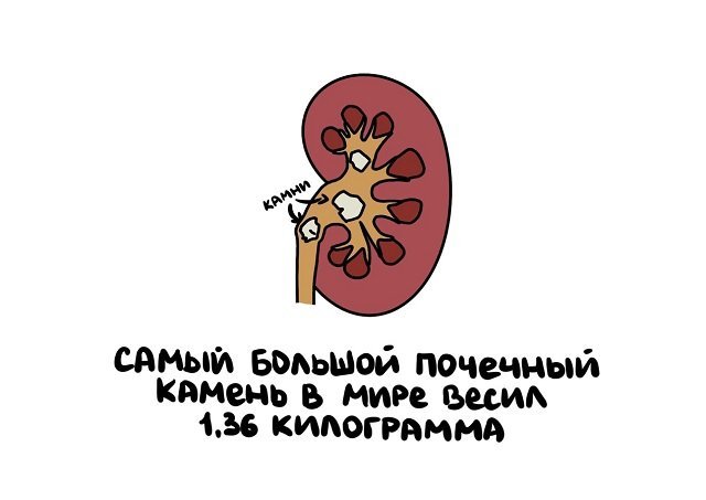 Интересные факты на все случаи жизни