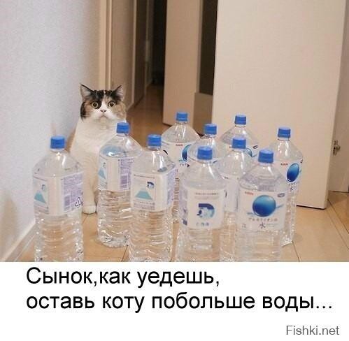 Сборник приколов