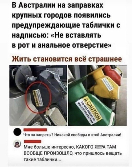 Смешные и познавательные картинки