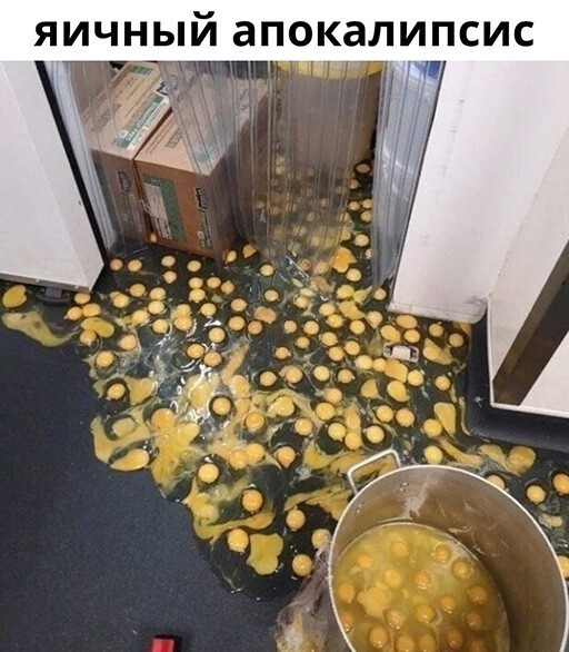 Смешные и познавательные картинки