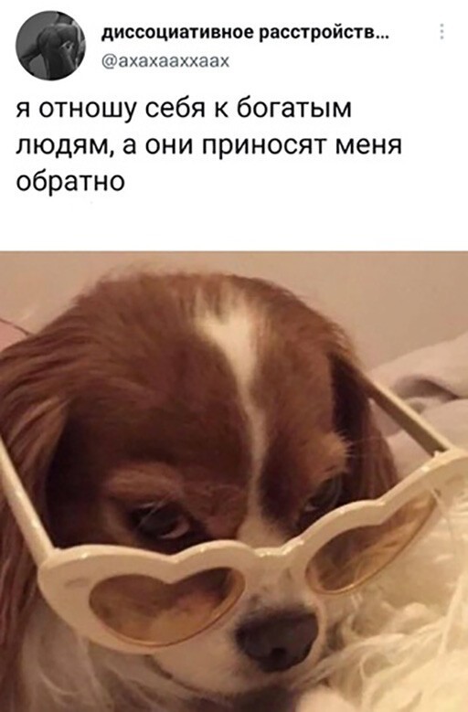 Смешные и познавательные картинки