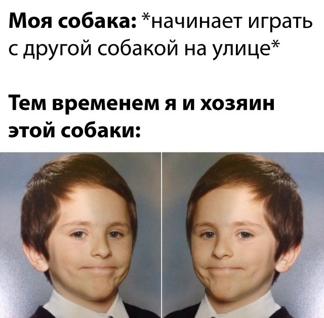 Смешные картинки 25 февраля 2022 года