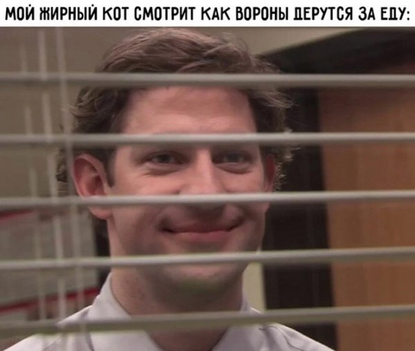 Смешные и познавательные картинки