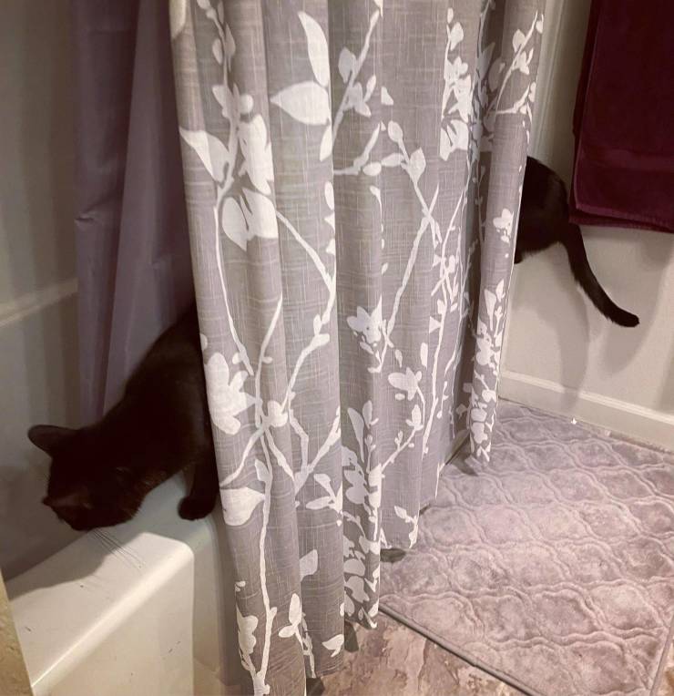 Смешные картинки 4 марта 2022 года