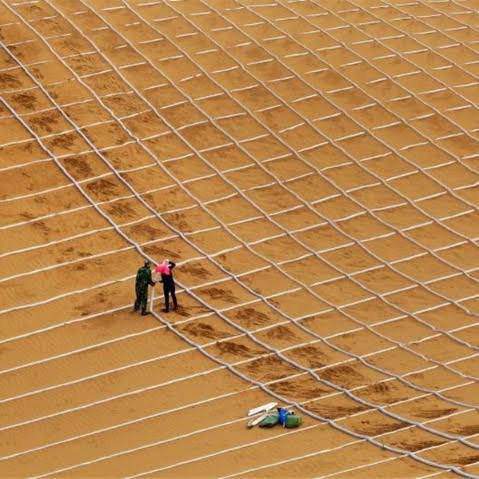 Как в Китае делают из бесплодной пустыни цветущие луга. Пошаговая инструкция