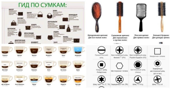 Сколько видов того, что вы видите каждый день: 20 инфографик с обычными вещами