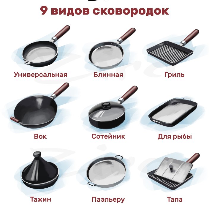 Сколько видов того, что вы видите каждый день: 20 инфографик с обычными вещами