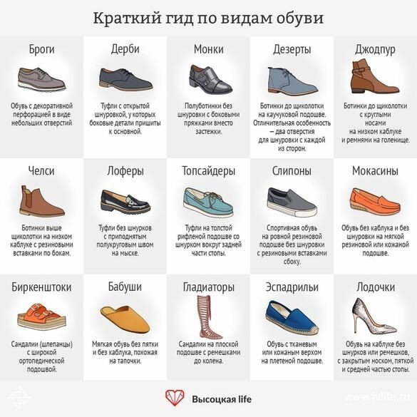 Сколько видов того, что вы видите каждый день: 20 инфографик с обычными вещами