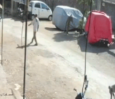 Интересные гифки 4 марта 2022 года