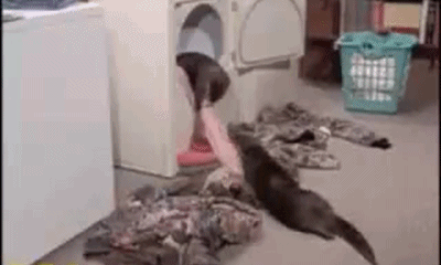 Интересные гифки 4 марта 2022 года