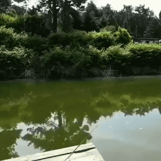 Интересные гифки 4 марта 2022 года