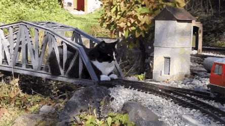 Интересные гифки 4 марта 2022 года