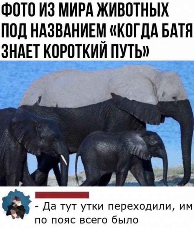 Комментарии к постам в социальных сетях