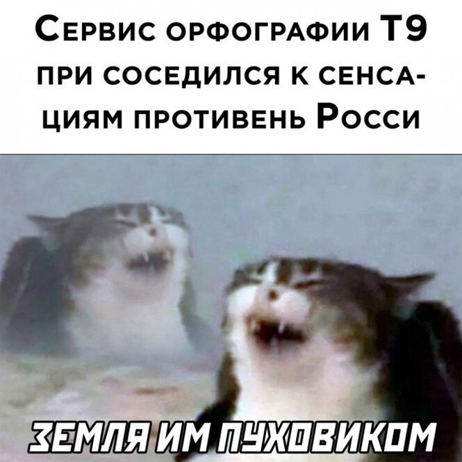 Смешные и познавательные картинки