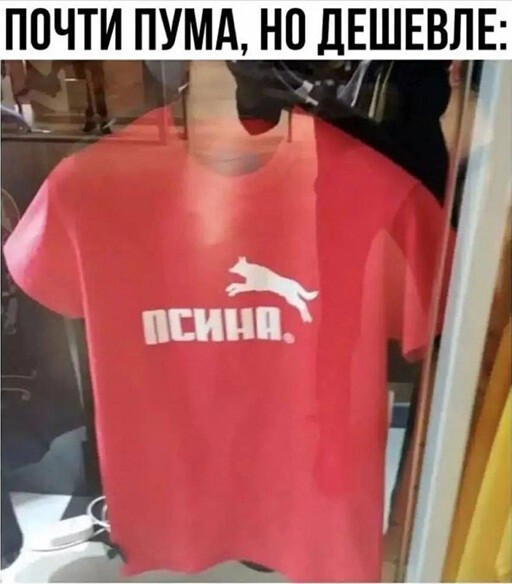 Смешные и познавательные картинки