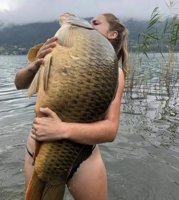 Фотоподборка