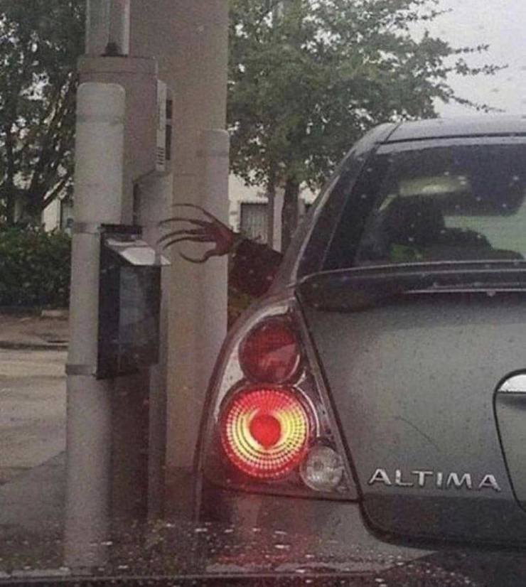 Смешные картинки 10 марта 2022 года