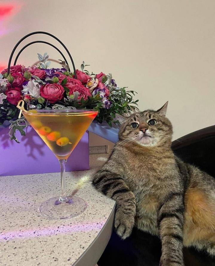 Смешные картинки 10 марта 2022 года