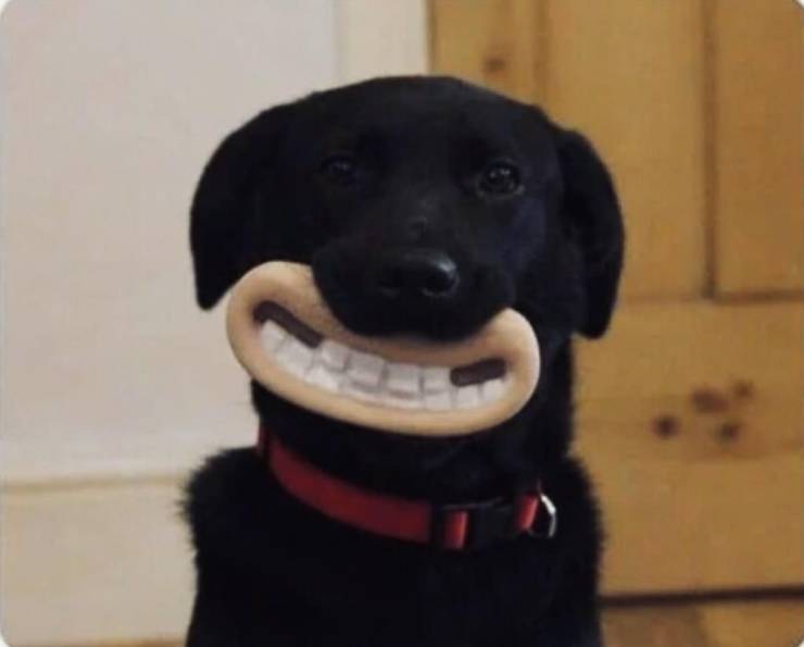 Смешные картинки 10 марта 2022 года