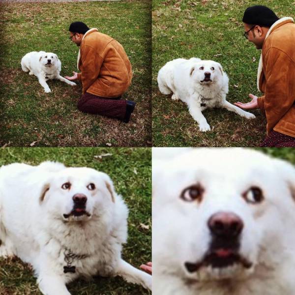 Смешные картинки 10 марта 2022 года