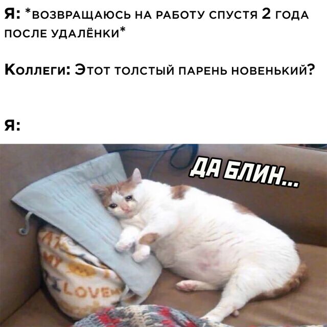 Смешные картинки 11 марта 2022 года