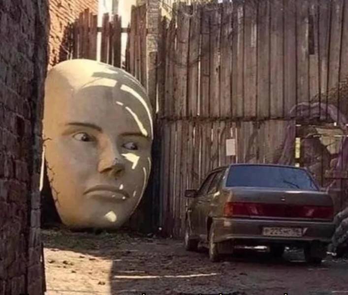 Смешные картинки 11 марта 2022 года