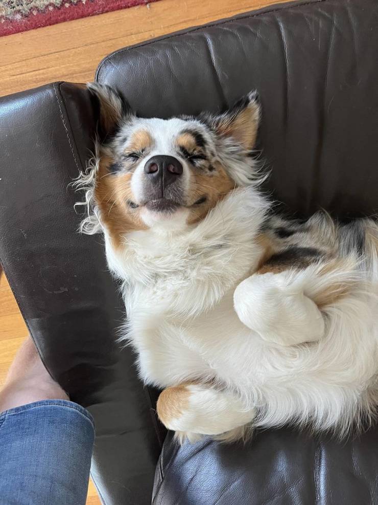 Смешные картинки 11 марта 2022 года