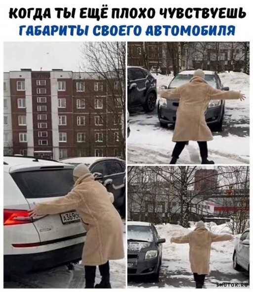 Смешные и познавательные картинки