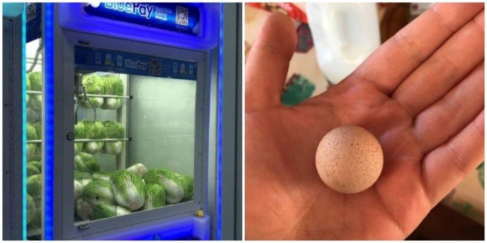 Уникальные вещи, которые можно увидеть лишь раз в жизни