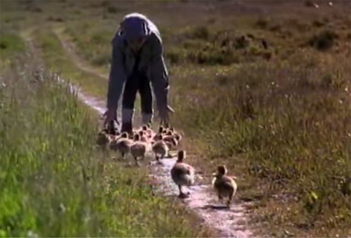 30 культовых фильмов, о которых все как будто позабыли