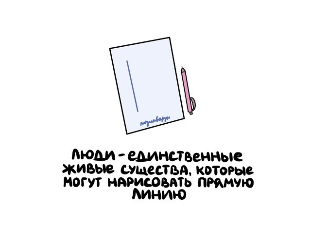 Интересные факты на все случаи жизни