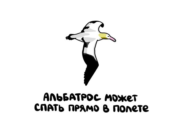 Интересные факты на все случаи жизни