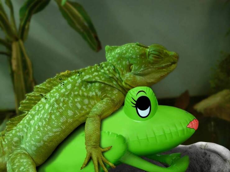 Смешные картинки 14 марта 2022 года