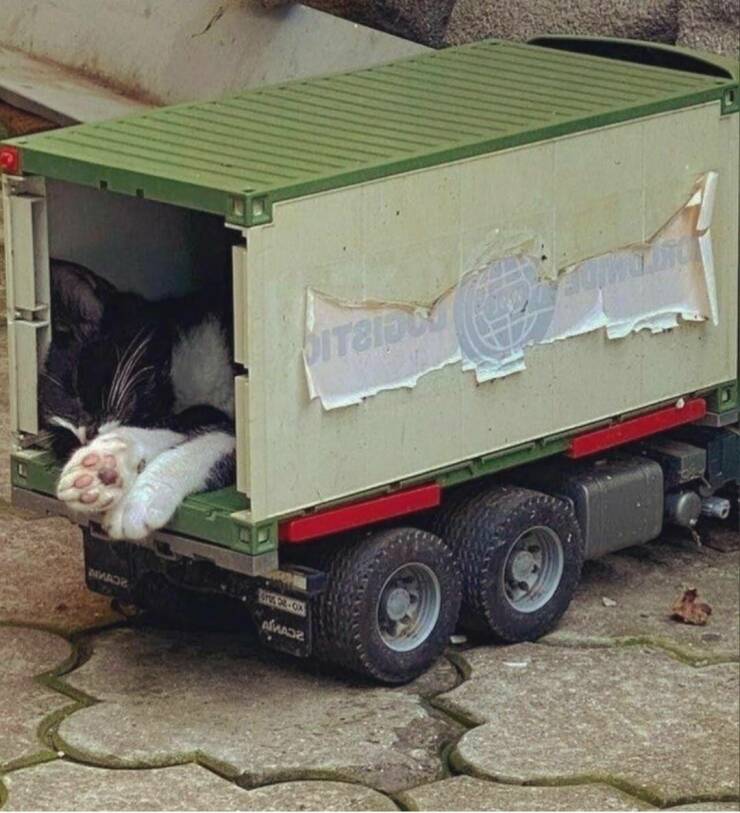 Смешные картинки 14 марта 2022 года