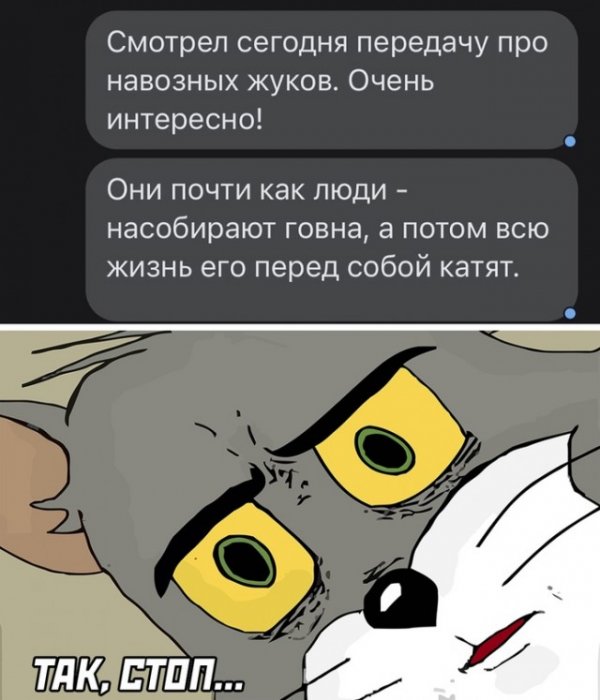 Весёлые