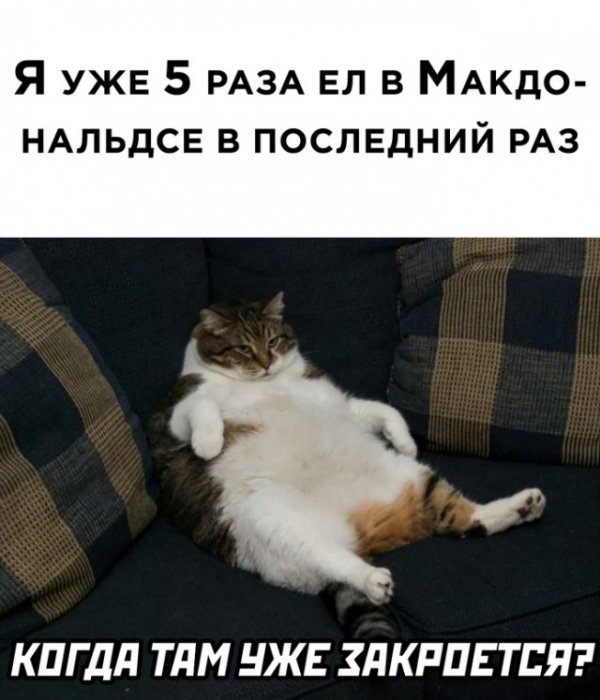 Весёлые