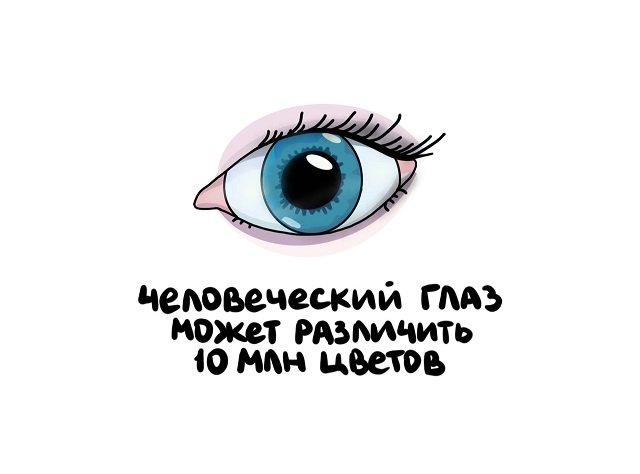 Интересные факты на все случаи жизни
